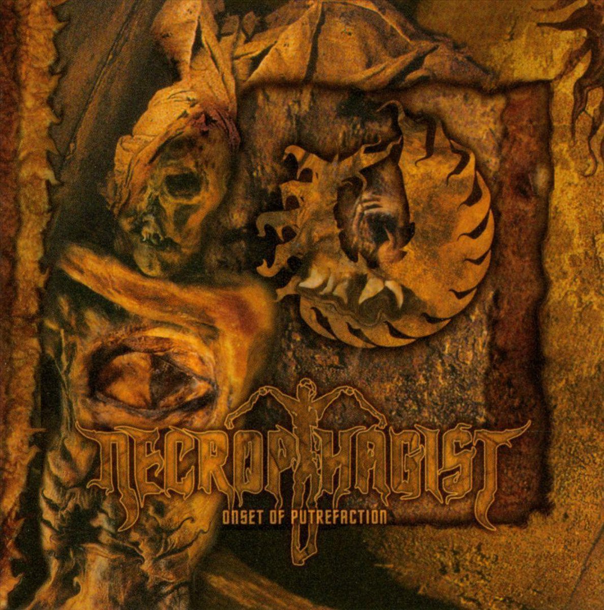 Onset of Putrefaction