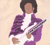 Controversy - A Tribute To Prince