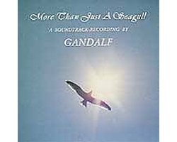 More than Just a Seagull