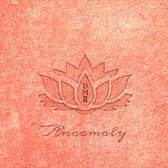 Anaamaly - Urban Metta Vol.2 (CD)