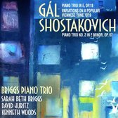 David Juritz Briggs Piano Trio - Gal Piano Trio In E Major Op.18; Va (CD)