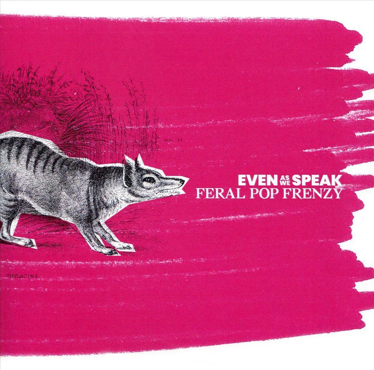 Feral Pop Frenzy