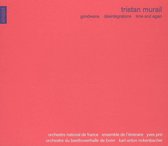 Gondwana, Desintegrations