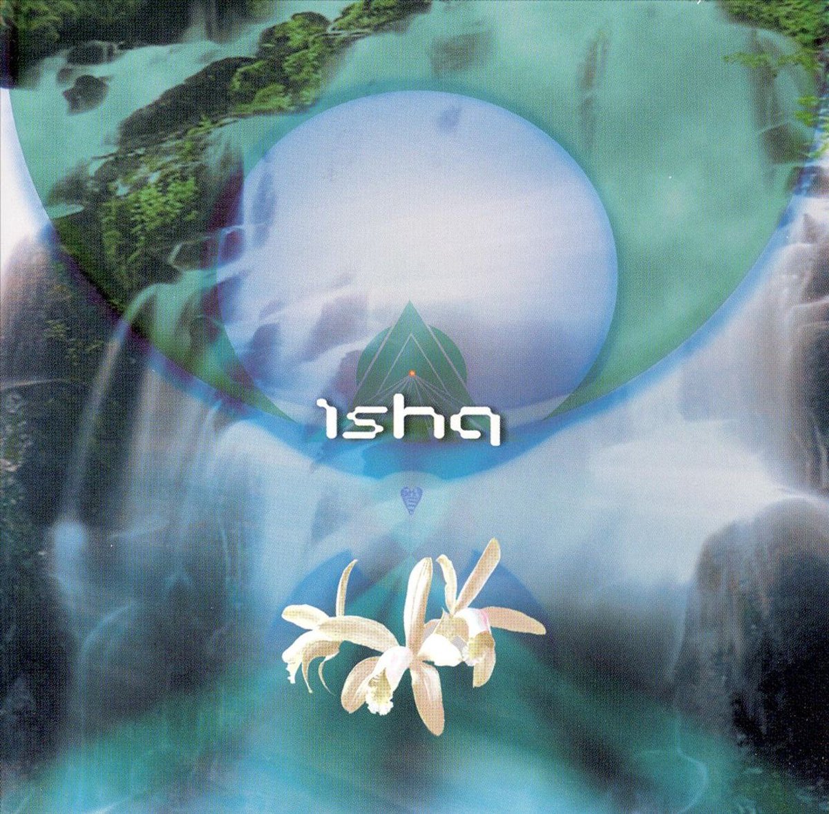 Orchid
