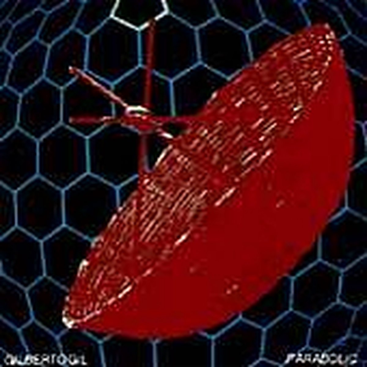 Parabolic