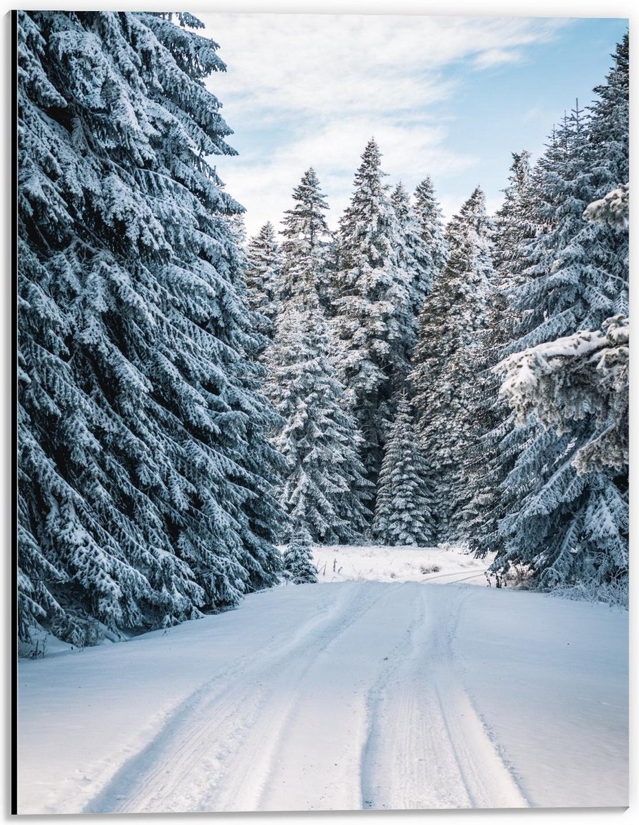 Dibond - Dik Besneeuwd Pad en Bomen - 30x40cm Foto op Aluminium (Wanddecoratie van metaal)