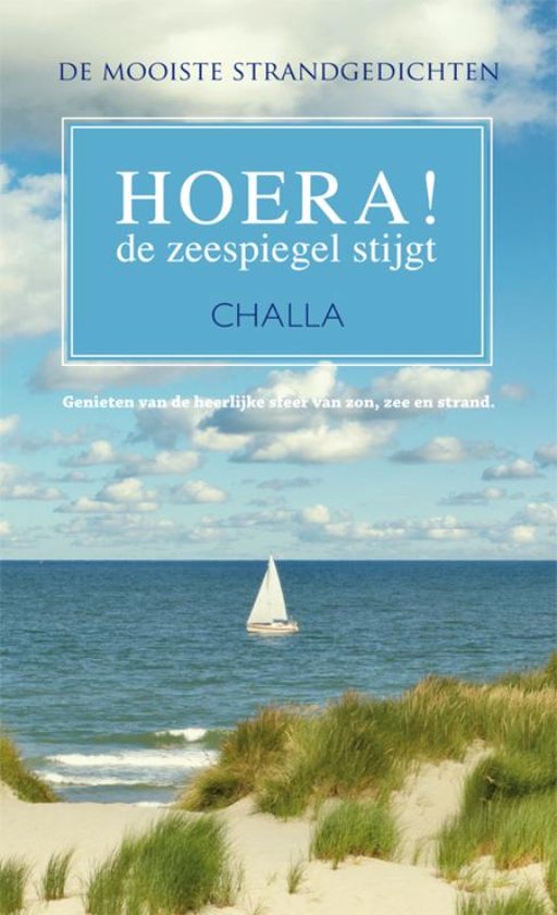 Cover van het boek 'HOERA! De zeespiegel stijgt'