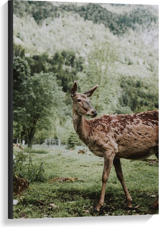 Canvas  - Zoogdier op Grasveld met Bomen - 60x90cm Foto op Canvas Schilderij (Wanddecoratie op Canvas)