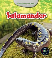 Mijn eerste docuboek  -   Salamander