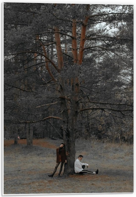 Forex - Mensen bij een Boom in het Bos - 40x60cm Foto op Forex