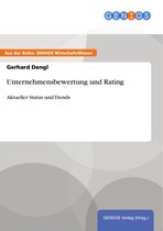 Unternehmensbewertung und Rating