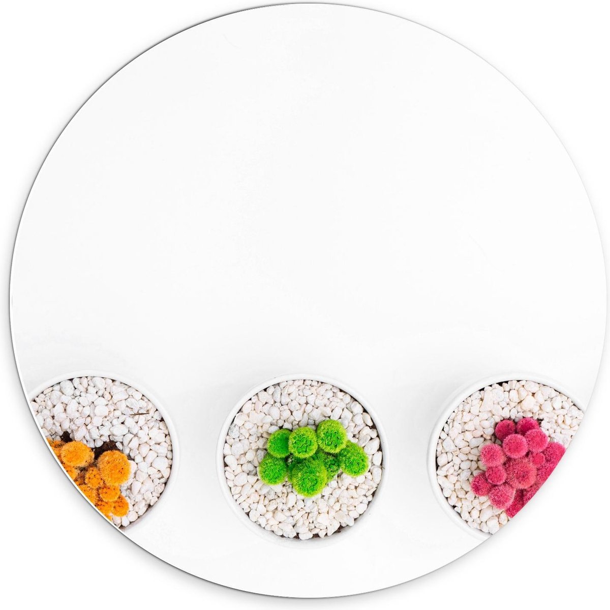 Forex Wandcirkel - Gekleurde Cactuspotjes - 70x70cm Foto op Wandcirkel (met ophangsysteem)
