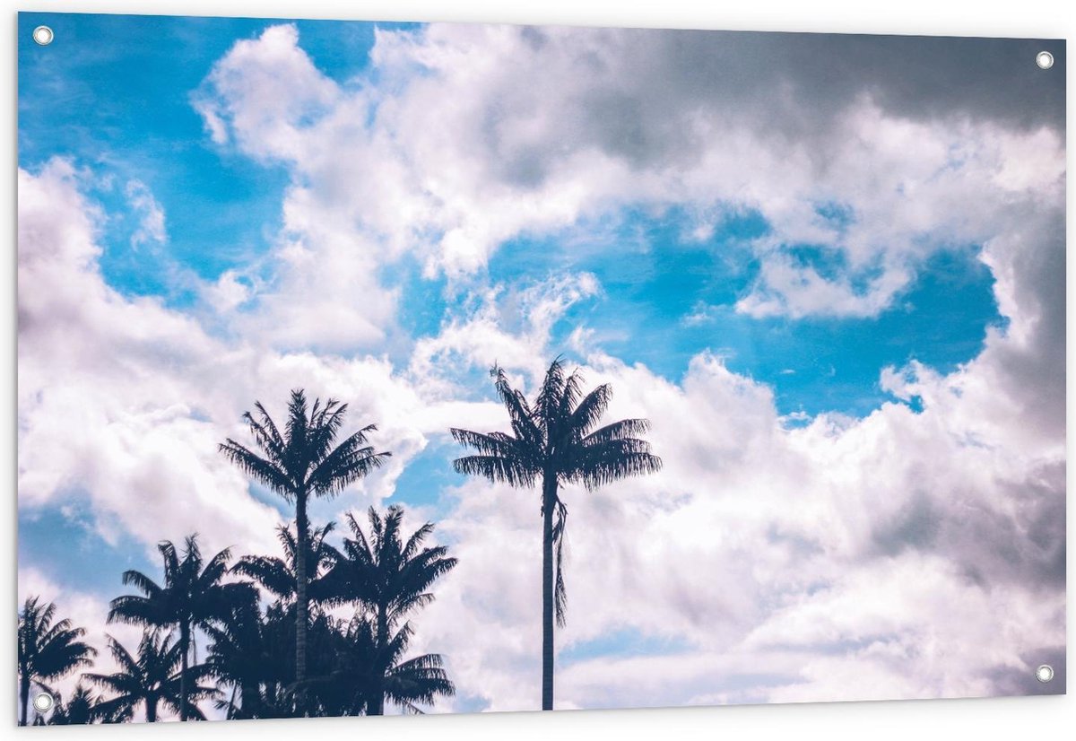 Tuinposter – Palmboompjes in de Lucht - 120x80cm Foto op Tuinposter  (wanddecoratie voor buiten en binnen) op Prijzenvolger.com
