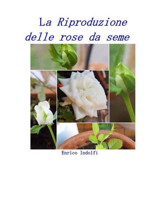 La riproduzione delle rose da seme - cover