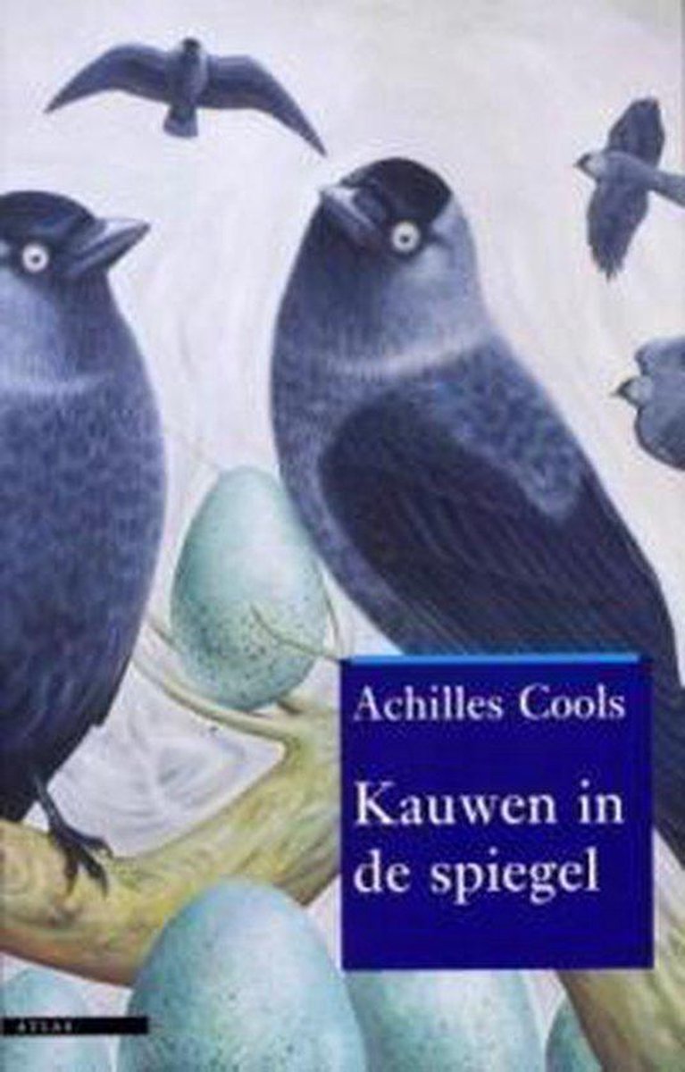 Kauwen In De Spiegel, Achilles Cools | 9789045010465 | Boeken | bol.com