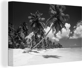 Découpe de plage République Dominicaine en toile noire et blanche 2cm