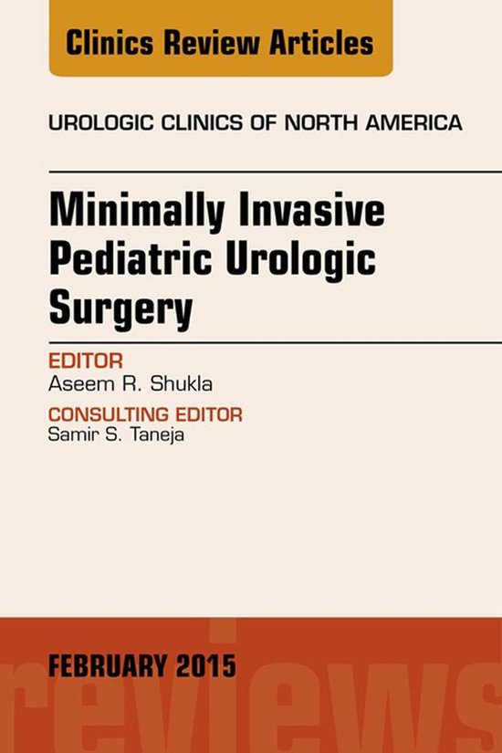 The Clinics: Internal Medicine Volume 42-1 - Minimally Invas ... - cover