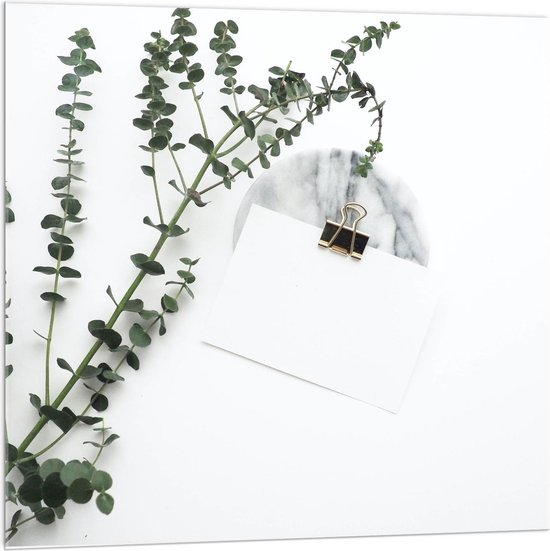 Acrylglas - Witte Enveloppe met Groene Plant - 100x100cm Foto op Acrylglas (Met Ophangsysteem)