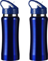 Set van 2x stuks drinkfles/waterfles 600 ml metallic blauw van RVS - Sport bidon waterflessen