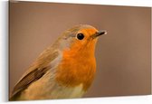 Schilderij - Pretty bird — 90x60 cm