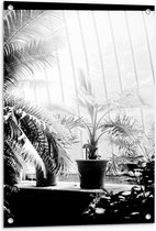 Tuinposter – Kas met Planten  - 60x90cm Foto op Tuinposter  (wanddecoratie voor buiten en binnen)