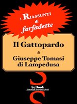 i RIASSUNTI -  Il Gattopardo di Giuseppe Tomasi di Lampedusa - RIASSUNTO