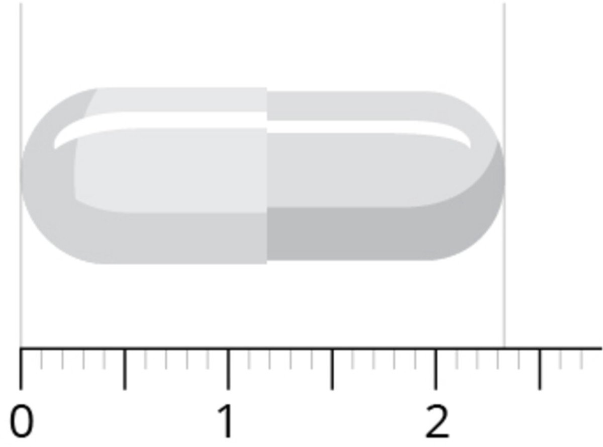 Vitals - Spijsverteringsformule Pro - 2 x 60 capsules - Voordeelverpakking