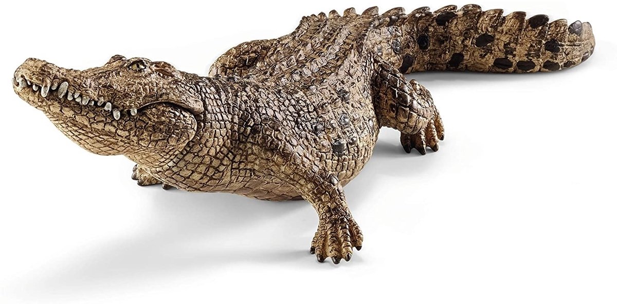 schleich WILD LIFE - Krokodil - 14736 — afbeelding 8