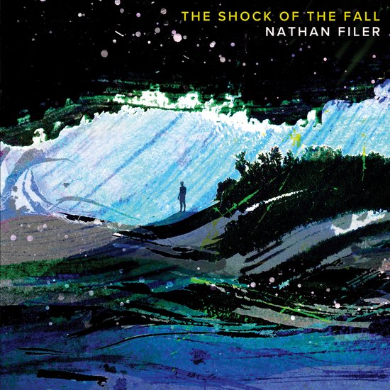 The Shock of the Fall - cover
