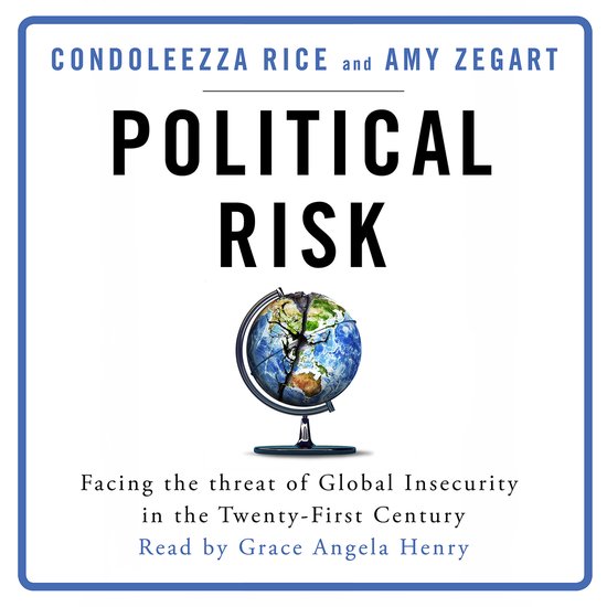 Political Risk - cover