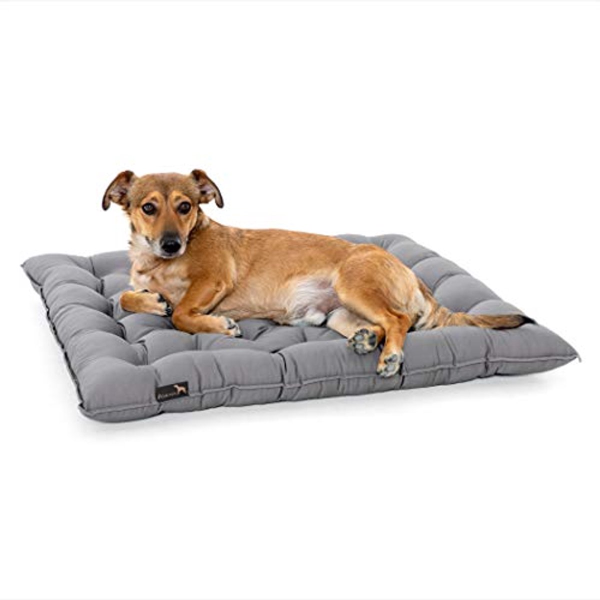 Orthopedisch hondenbed XXL - Lichtgrijs, wasbaar tot 95 °C, elegant en outdoor geschikt