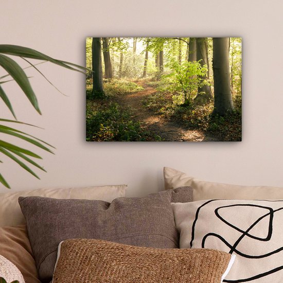 Chemin dans la forêt Toile 30x20 cm - petit - Tirage photo sur toile (Décoration murale salon / chambre) / Décoration murale Peintures sur toile