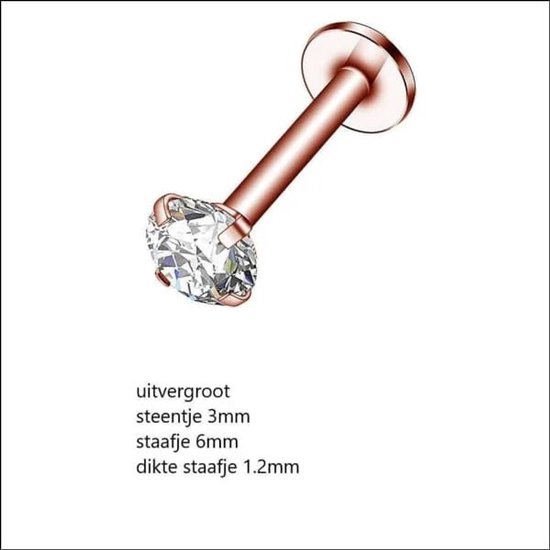 CHIRURGISCH STALEN HELIX/TRAGUS PIERCINGS | 't Oortje webshop