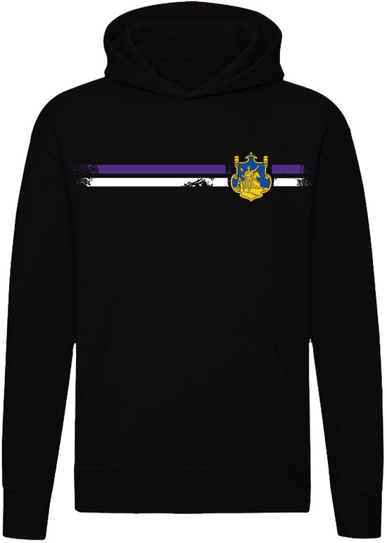Sweat à capuche Anderlecht - unisexe - emblème de la ville - pull