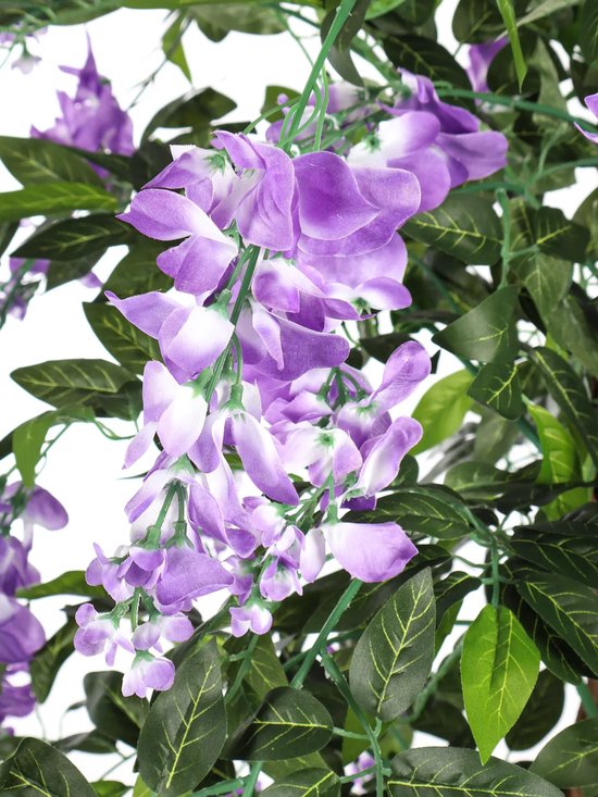 Gros plan de fleurs artificielles de glycine violettes et de feuilles vertes.