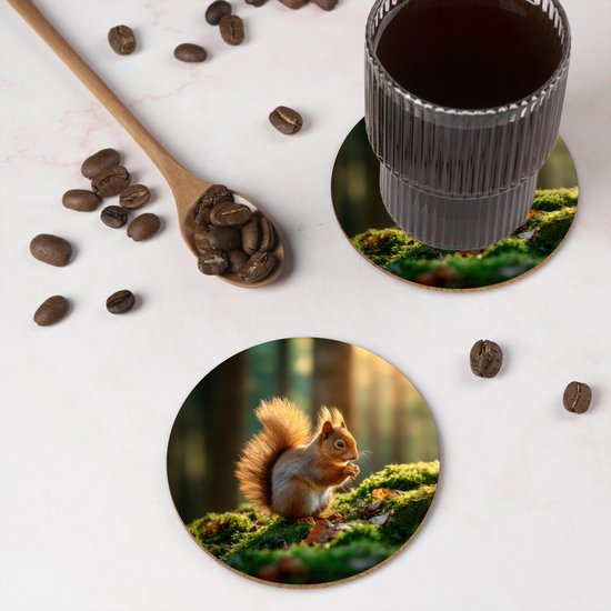 Sous-verres de verre ronds - Motifs écureuil, noix et herbe - 10 x 10 cm - Lot de 6