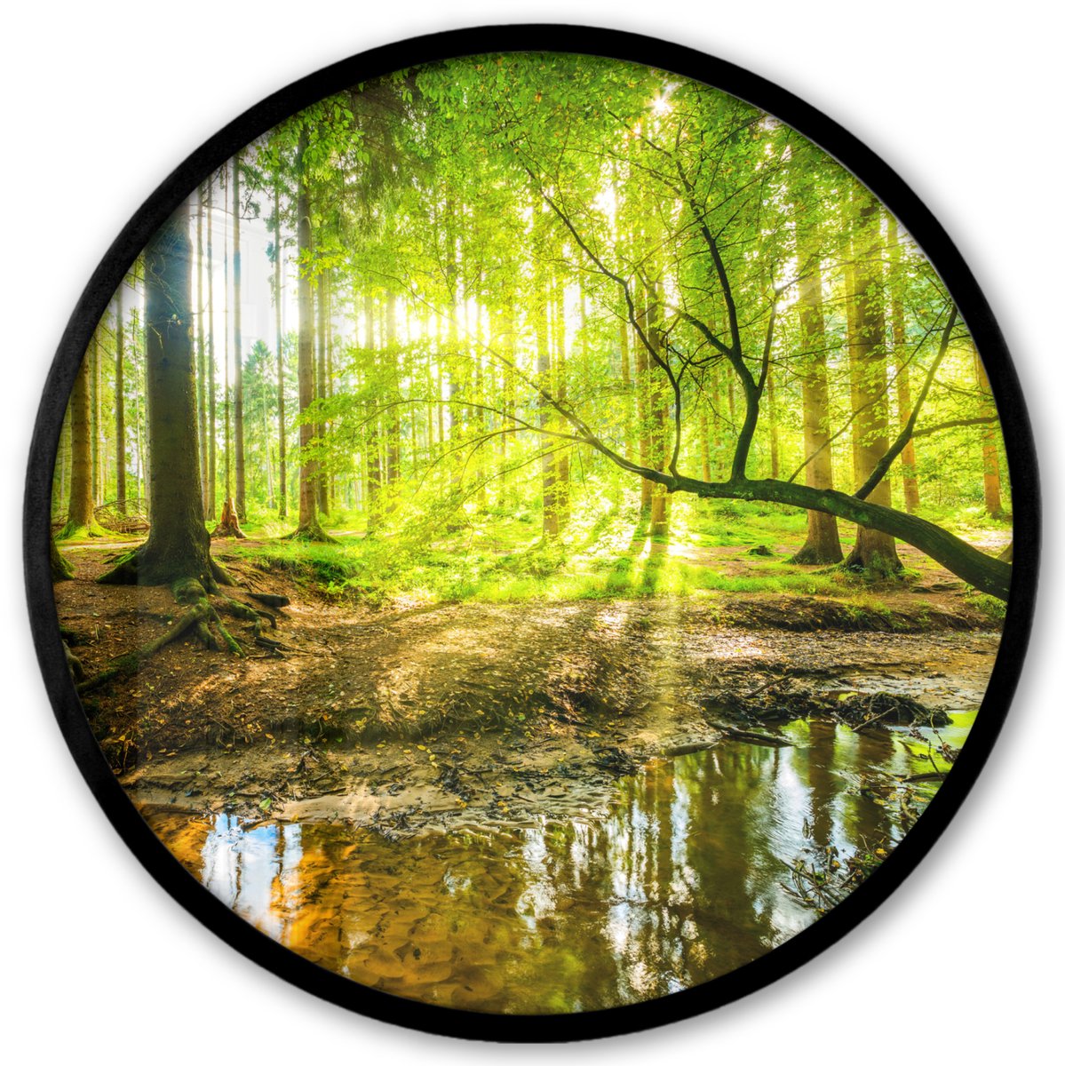 FrameYourWall Poster in lijst Rond - Fotolijst 40x40 cm - Posters - Bos - Landschap - Water - Bomen - Zon - Groen - Natuur - Ronde posterlijst zwart - Decoratie - Wanddecoratie woonkamer - Muurdecoratie slaapkamer