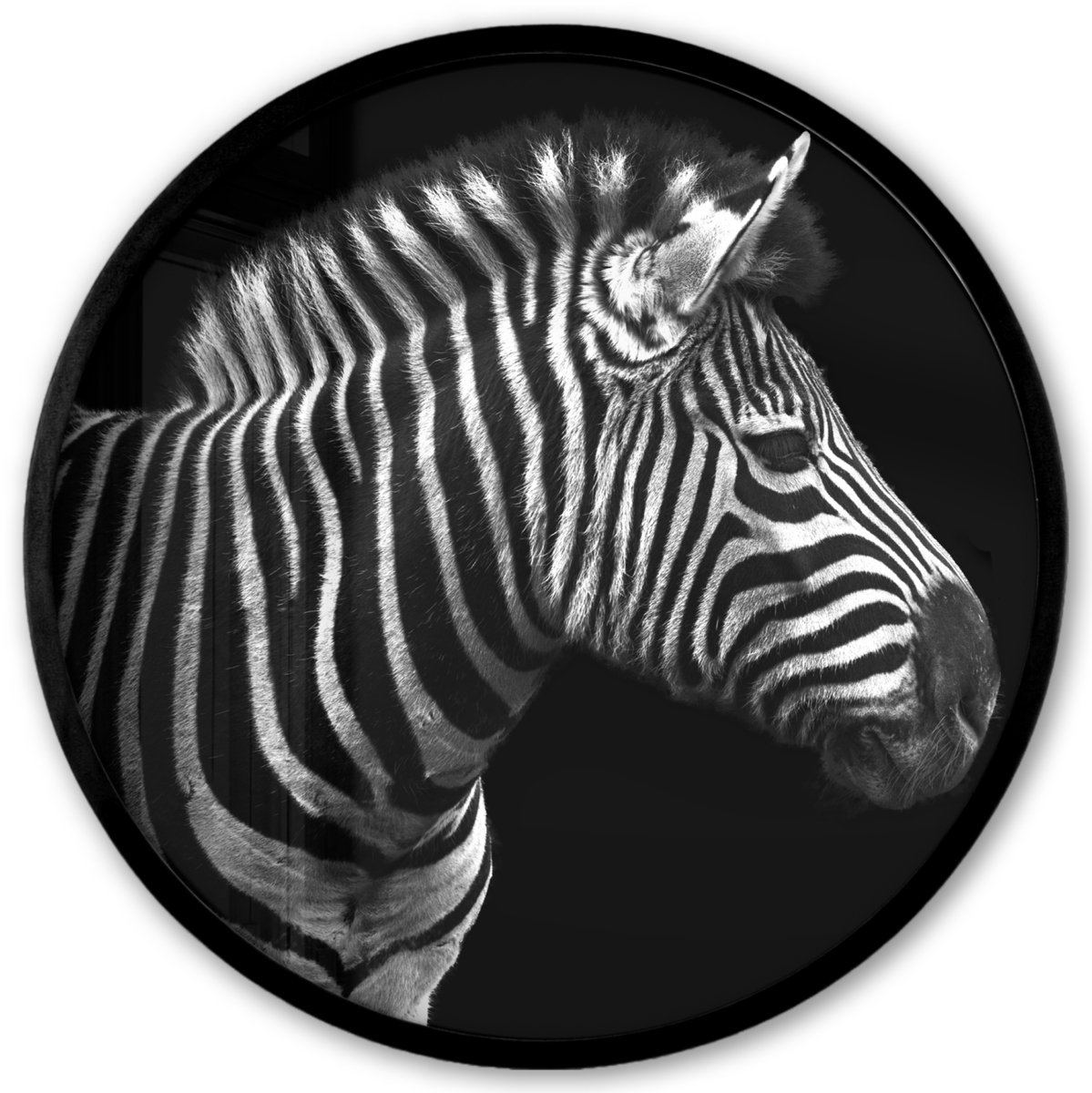 FrameYourWall Poster in lijst Rond - Fotolijst 40x40 cm - Posters - Zebra - Zwart - Wit - Portret - Dieren - Ronde posterlijst zwart - Decoratie - Wanddecoratie woonkamer - Muurdecoratie slaapkamer Zebra - Zwart wit
