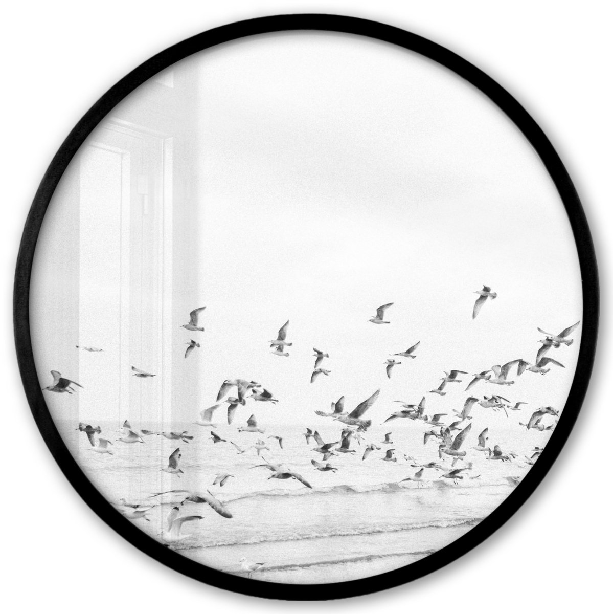 FrameYourWall Poster in lijst Rond - Fotolijst 40x40 cm - Posters - Zee - Vogels - Natuur - Zeemeeuwen - Ronde posterlijst zwart - Decoratie - Wanddecoratie woonkamer - Muurdecoratie slaapkamer Strand - Vogels