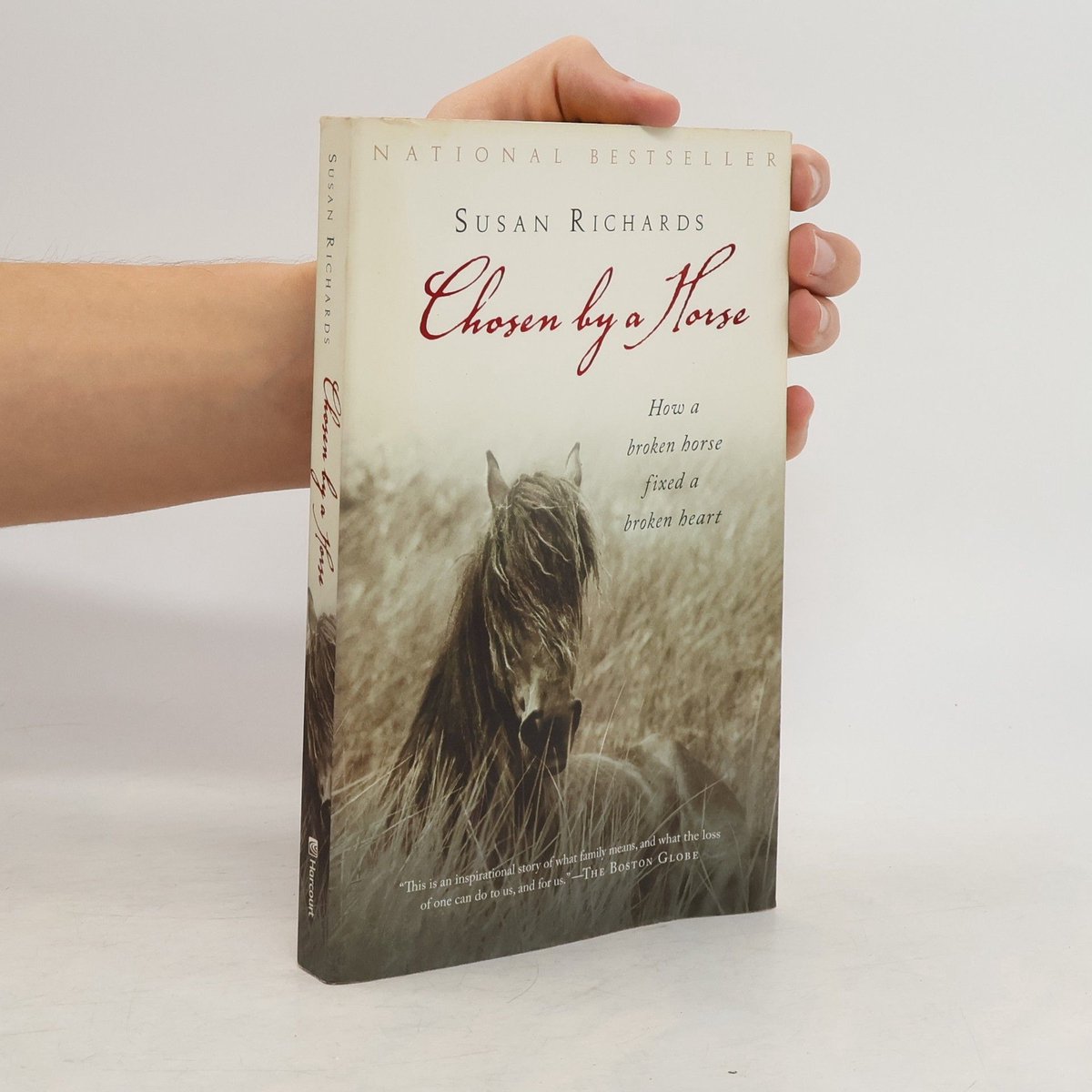 Chosen By A Horse van Susan Richards
