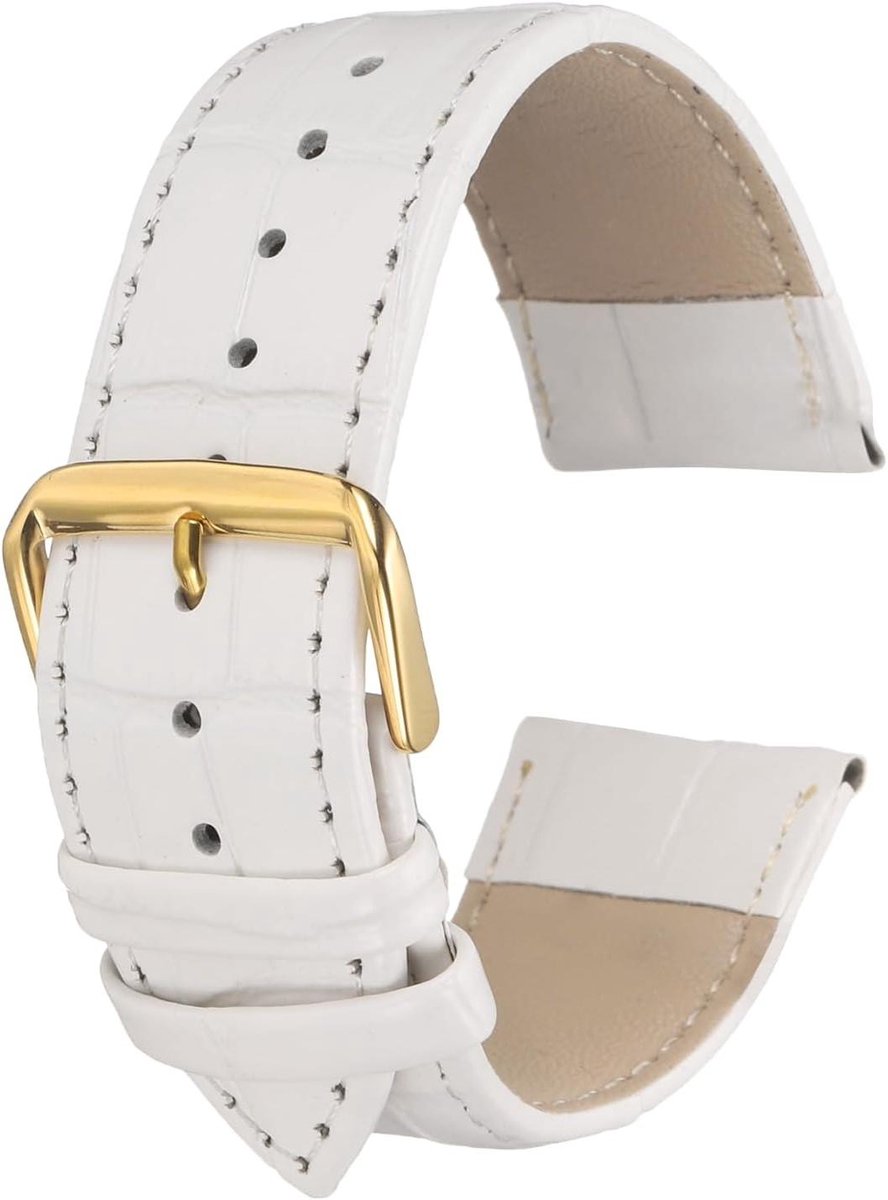 Allecto plus - Leren horlogeband 24 mm reliëf patroon rundleer horlogeband vervanging witgoud Vervangbare horlogeband met veerpennen voor mannen en vrouwen 24mm breedte, geen edelsteen