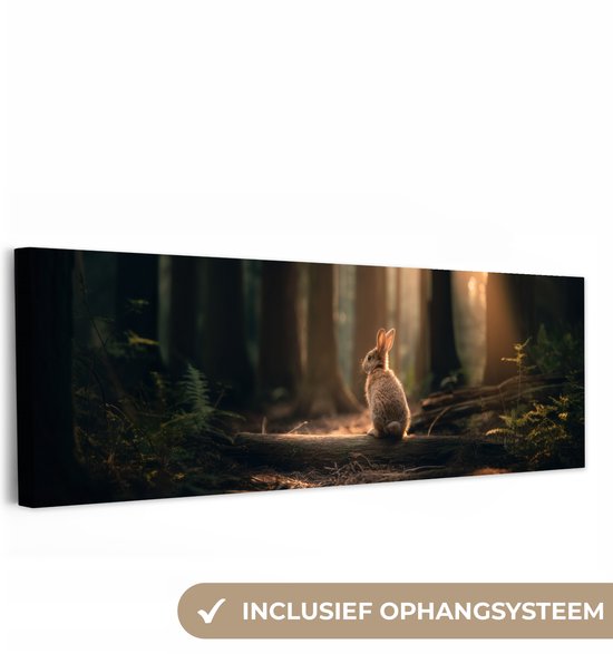 Canvas schilderij 150x50 cm - Exclusieve wanddecoratie Konijn - Bos - Zonnestralen - Muurdecoratie woonkamer - Slaapkamer decoratie - Kamer accessoires - Schilderijen op canvas