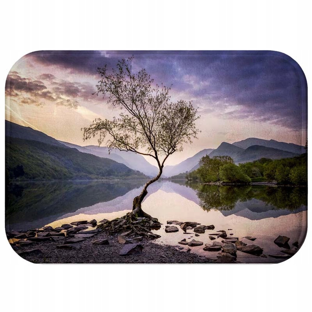 Zachte Antislip Badmat 60x40cm - Stijlvolle Douchemat met Vrolijke Print