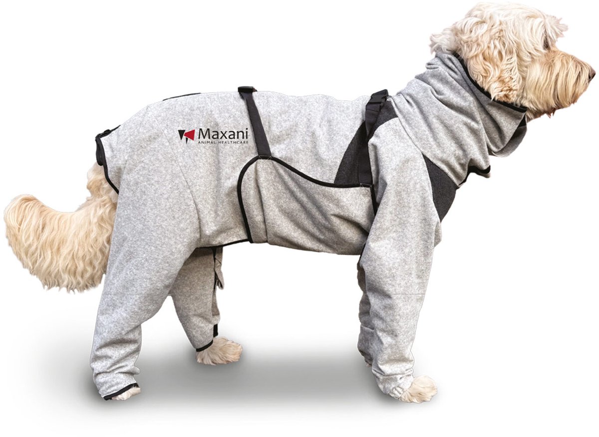 Maxani DermCoat - S