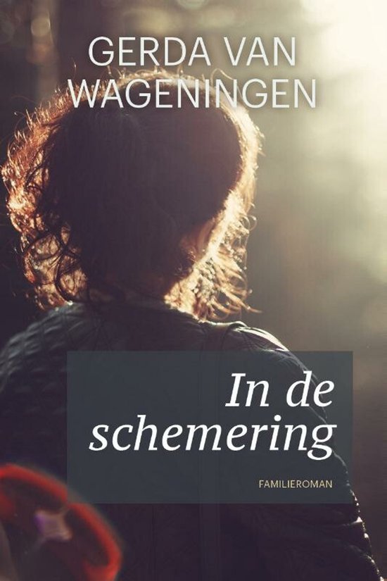 In de schemering - cover