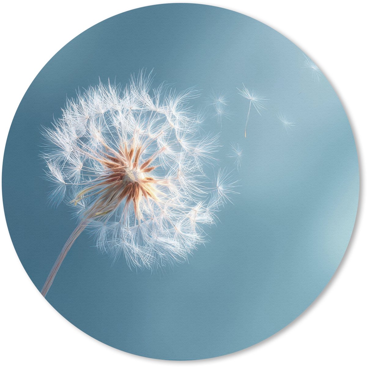 Muismat rond 30x30 cm - Mousepad Paardenbloem - Wind - Blauw - Ronde muismatten