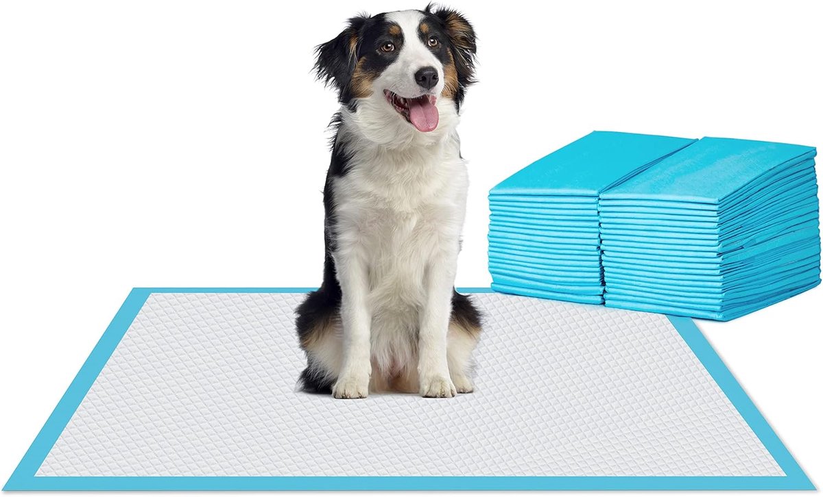 Dog Pee Mat - Puppy Plasmatten - Hygiënische Incontinentiematjes - Absorberende Zindelijkheidstraining - 100 Stuks - 60x45 Cm - Voor Honden, Katten En Konijnen - Tot 170 Ml Vochtabsorptie - Met Anti-Lek Bescherming