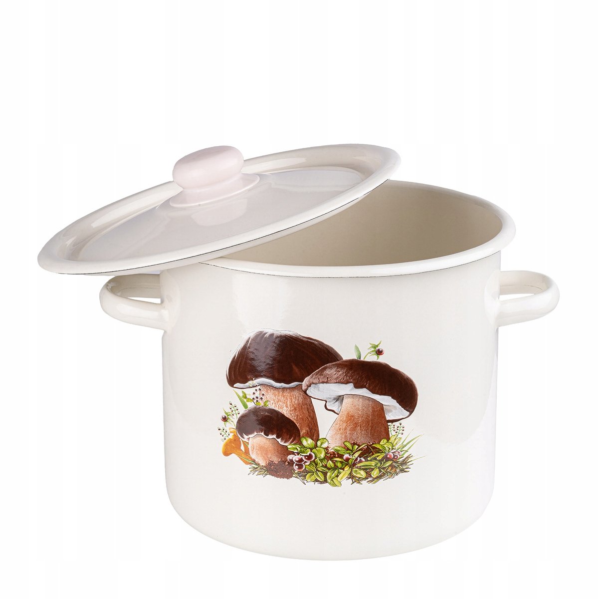 Emmeren Pan 7L met Deksel - Traditioneel, Gas & Inductie