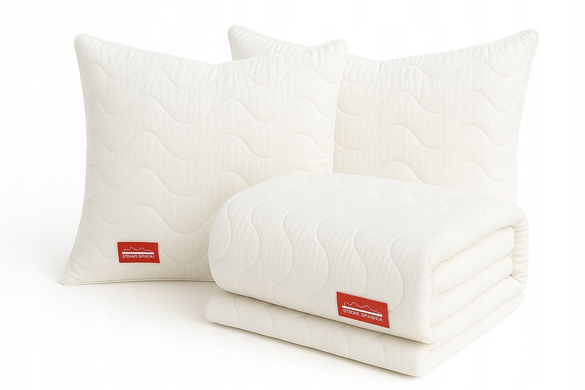 Anti-allergisch dekbed 160x200 + 2 kussens 50x60, Nederlands product