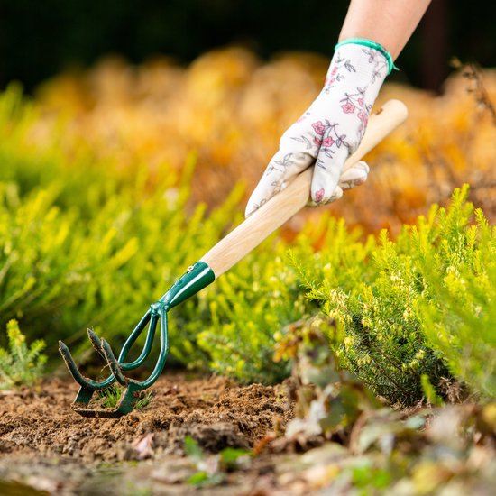 KADAX bebouwer, wiedegbouwer met 3 tanden, onkruidhaak, kleine bloemklauw met steel, tuinaccessoires van metaal, tuinhak voor het losmaken van de grond, cultivator voor tuin, onkruid (met houten — afbeelding 4